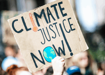 Climate Litigation Heats Up Globally