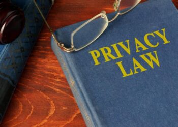 Privacy Rights: Navigating the New Frontier